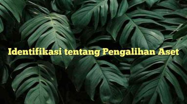 Identifikasi tentang Pengalihan Aset