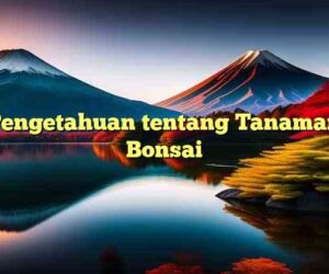 Pengetahuan tentang Tanaman Bonsai