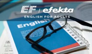 Mendalami Penggunaan Stative Verb Aturan Penting yang Perlu Diperhatikan