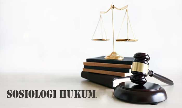 sosiologi hukum