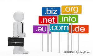 Apa yang Harus Diperhatikan Sebelum Membeli Domain